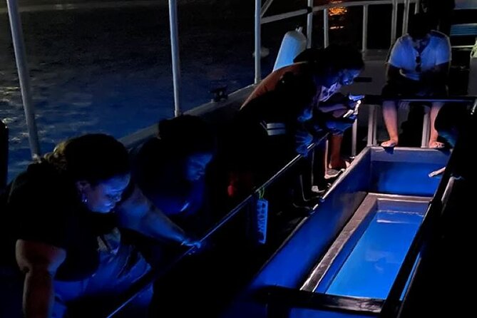 2 Stop Reef Snorkel and Glass Bottom Boat Adventure - Stop 2: Coral reefs, colorful fish, and sea life you can actually spot