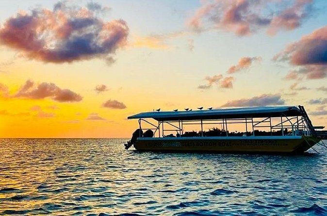 2 Stop Reef Snorkel and Glass Bottom Boat Adventure - The glass-bottom boat is more than a backup plan