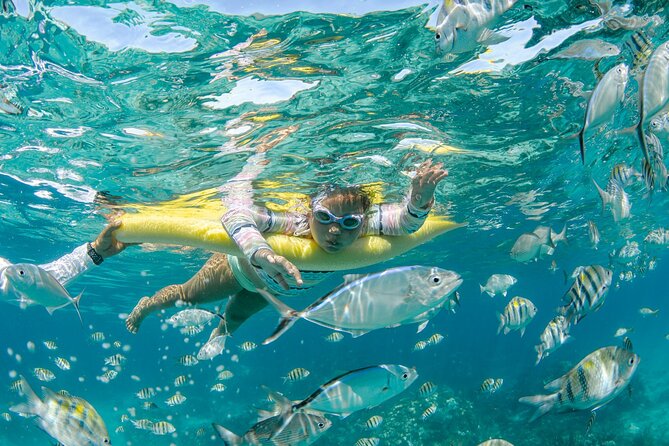 3 Hour Private Charter on Stingray City with Snorkeling - What to pack and how to get the most out of your 3-hour water day