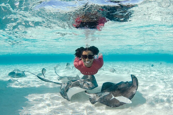 4 hour Private Boat charter to Stingray City, Snorkeling and More - Why a Private Boat Charter Beats the Big-Boat Feel in Grand Cayman