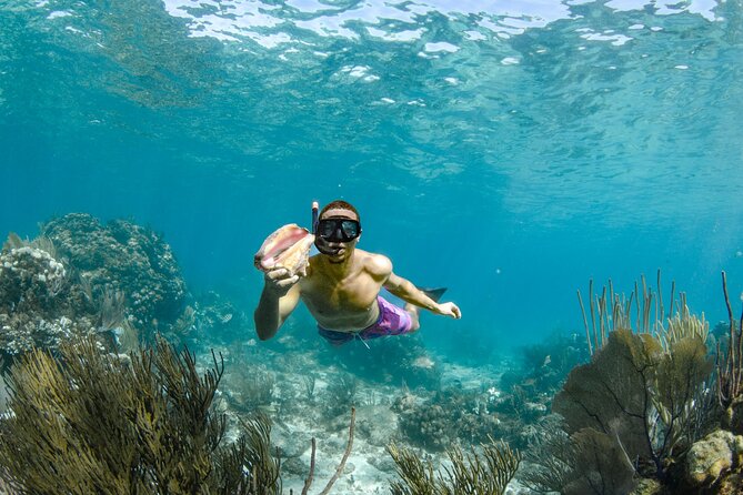 4 hour Private Boat charter to Stingray City, Snorkeling and More - Starfish Beach, a Quiet Break From the Main Hotspots