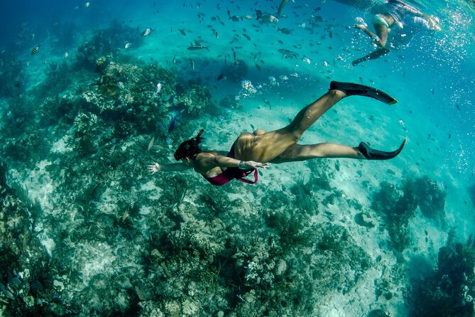 4 hour Private Boat charter to Stingray City, Snorkeling and More - What You Get Onboard, and What You Should Bring