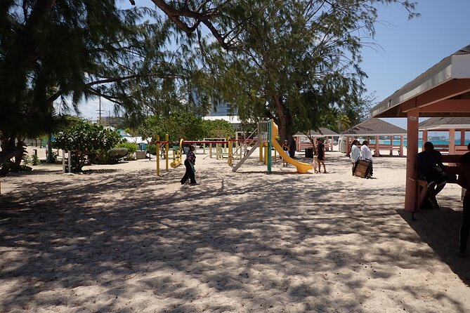 4-Stop Stingray, Snorkel, Star Fish & 7 Mile Beach (Family Owned) - Stop 1, Stingray City: waist-deep wildlife time made easy