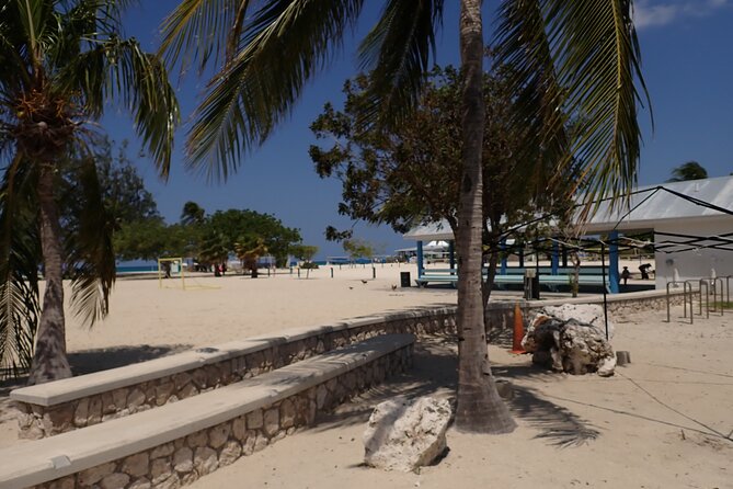 4-Stop Stingray, Snorkel, Star Fish & 7 Mile Beach (Family Owned) - Stop 3, Coral Gardens or the Barrier Reef: what snorkeling feels like here