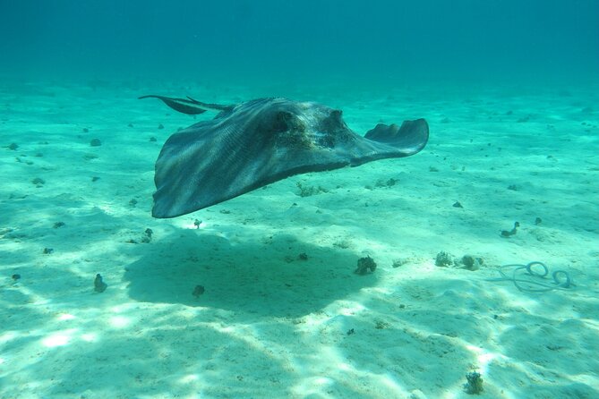 4 Stops Tour: Stingray, Snorkeling, Starfish & 7 Mile Beach - Stop 4: 7 Mile Beach, the payoff for the last stretch
