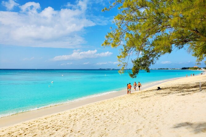 4 Stops Tour: Stingray, Snorkeling, Starfish & 7 Mile Beach - Stop 1: Stingray City and the sandy-shallow magic