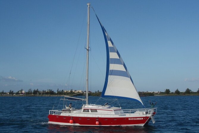 Acquarius Stingray City and Snorkel Tours - Pacing and timing: what 3 hours 30 minutes feels like