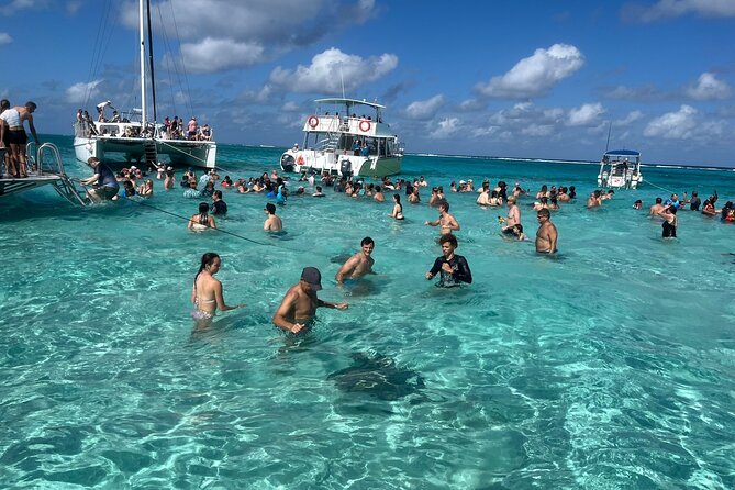 Aquaholic Charters: Private 1.5 - 4Hrs Cayman Luxury Adventure - Starfish Point: classic photos, short and sweet