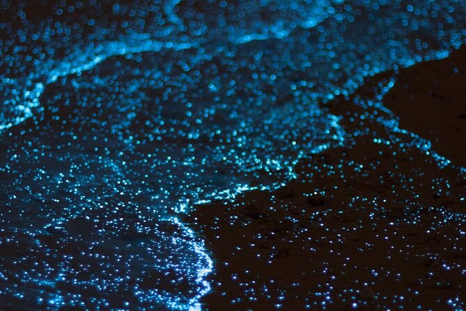 Bioluminescent Bay Adventure in Grand Cayman - Key things I’d circle before you go