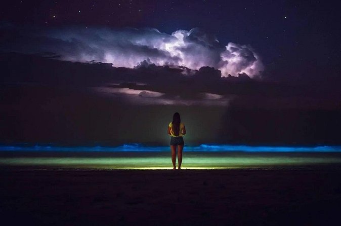 Bioluminescent Bay Adventure in Grand Cayman - Snorkel gear, life vests, and why the crew guidance matters