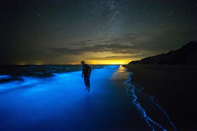 Bioluminescent Bay Adventure in Grand Cayman - Bio Bay at Cayman Kai: viewing vs swimming, and how to get the best light