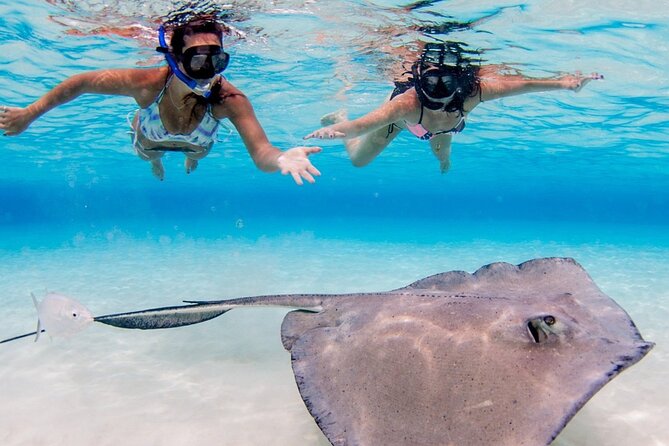 Cayman Adventure: Starfish Point, Stingray City and Coral Gardens - Stingray City, Starfish Point, and Coral Gardens in a tight 3 hours
