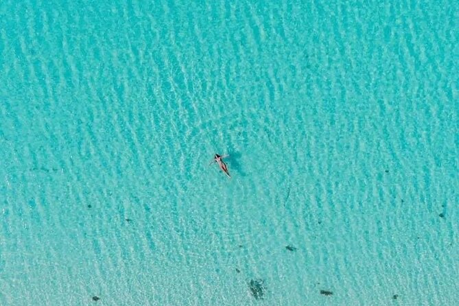 Cayman Adventure: Starfish Point, Stingray City and Coral Gardens - Stop 2: Starfish Point, starfish and shells in their habitat