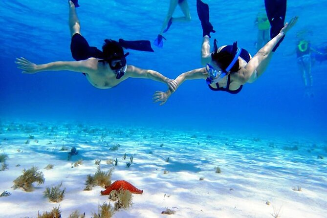 Cayman Adventure: Starfish Point, Stingray City and Coral Gardens - Who this tour is best for