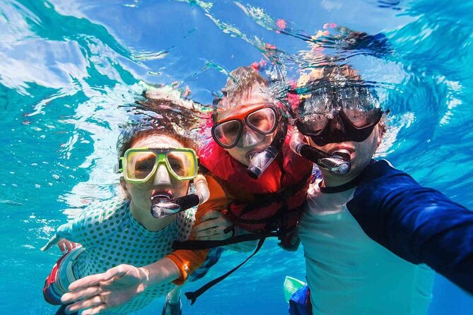 Cayman Adventure: Starfish Point, Stingray City and Coral Gardens - Price and what you get for $107.10 per person