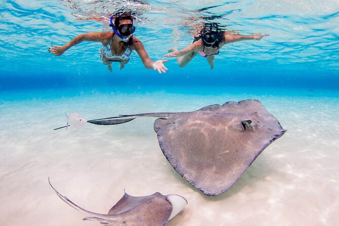 Cayman Combo Tour: Stingrays, Starfish Point and Crystal Caves - Transportation and the Real-Life Schedule