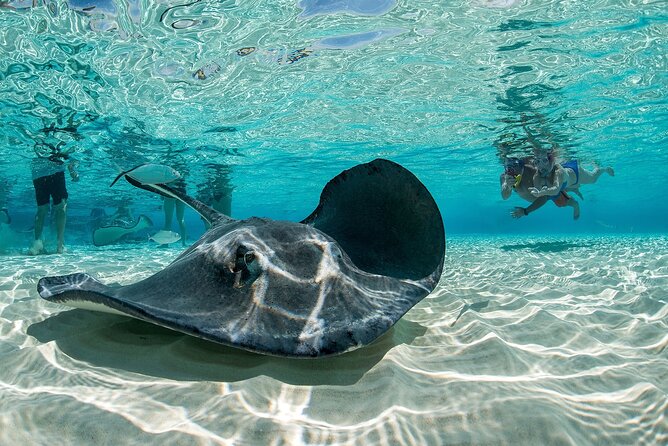 Cayman Combo Tour: Stingrays, Starfish Point and Crystal Caves - Price and Value: Is $109 Fair for a Half-Day?