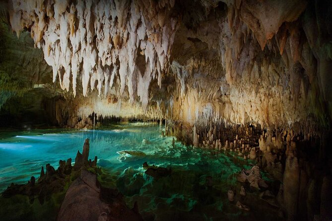 Cayman Combo Tour: Stingrays, Starfish Point and Crystal Caves - What to Know Before You Go: Practical Tips That Actually Help