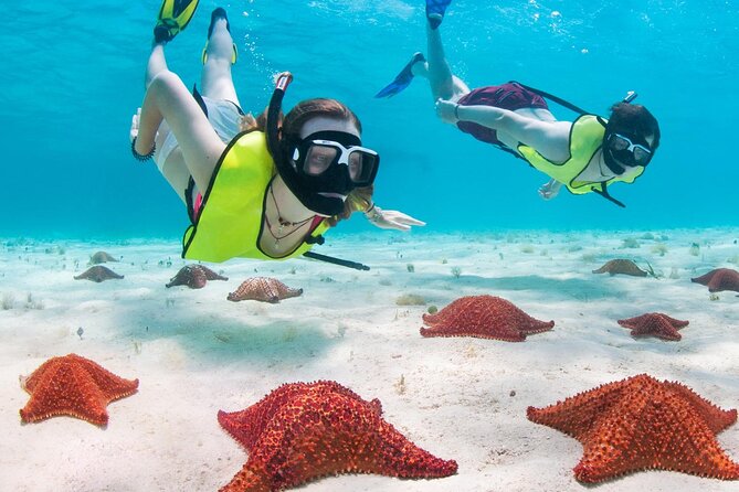 Cayman Combo Tour: Stingrays, Starfish Point and Crystal Caves - Cayman Crystal Caves: Stalactites, Stalagmites, and Pirate Lore