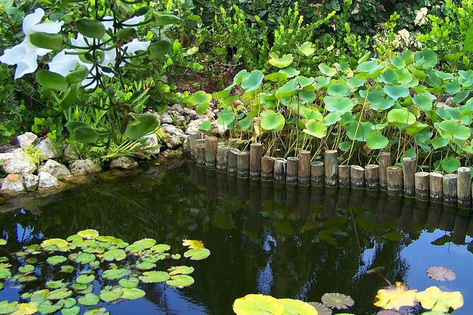 Cayman Crystal Caves & Pedro St James Castle or Botanical Garden - Practical tips so the day stays fun, not stressful