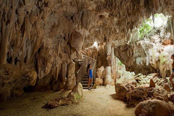 Cayman Crystal Caves Tour in Grand Cayman - The northside coach ride and tropical forest walk