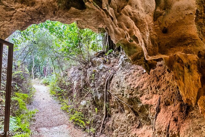 Cayman Crystal Caves Tour in Grand Cayman - The cave time: what to expect underground