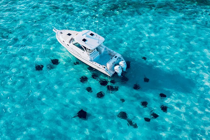 Cayman Private Luxury Charters - Stingray City, Snorkel, & More - Price and Boat Size: What $800 Per Group Really Means