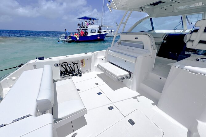 Cayman Private Luxury Charters - Stingray City, Snorkel, & More - Stop 1: Stingray City Sandbar and the Part Where You Finally Relax
