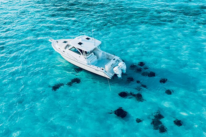 Cayman Private Luxury Charters - Stingray City, Snorkel, & More - Stop 2: Rum Point Water Time and a Reef-Forward Snorkel