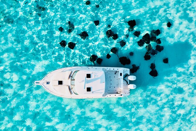Cayman Private Luxury Charters - Stingray City, Snorkel, & More - Booking the Right Time: Duration and How to Avoid a Timeline Headache