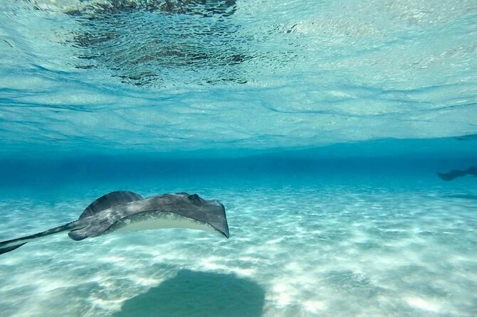Cayman Ultimate Tour: Stingrays, Starfish Point and Crystal Caves - Crystal Caves: stalactites, stalagmites, and pirate-era vibes