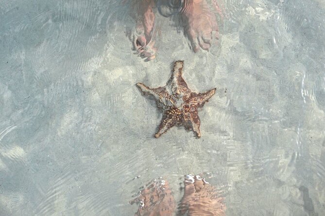 Cayman Ultimate Tour: Stingrays, Starfish Point and Crystal Caves - What $85.50 really buys you on Grand Cayman