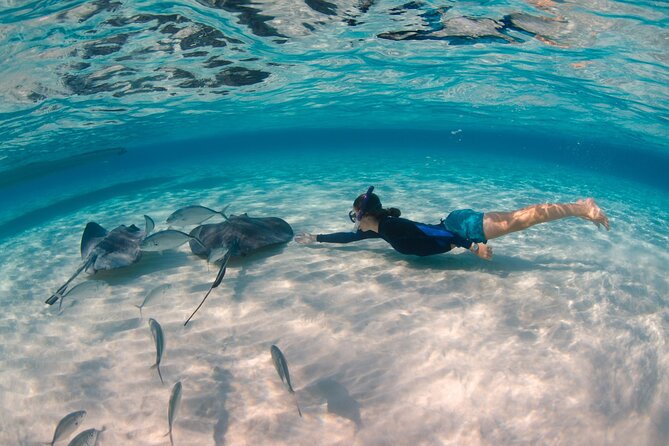 CaymanVisitor Hide & Seek GeoTour Self-Drive Tour - GeoTour self-drive basics: what you are actually signing up for