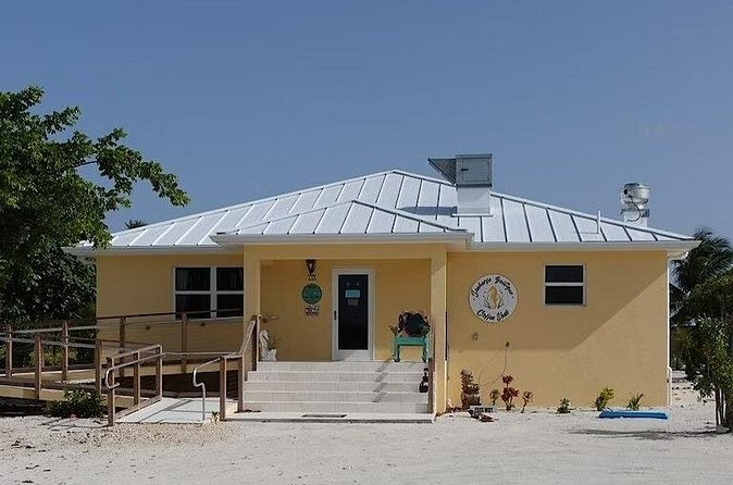 CaymanVisitor Hide & Seek GeoTour Self-Drive Tour - Grand Cayman nature stops: caves, trails, and Blue Iguanas