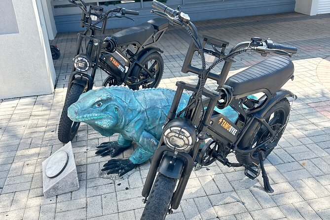 Coastal E-Bike Adventure: Full-Day Self-Guided Tour Grand Cayman - Key Things I’d Notice First