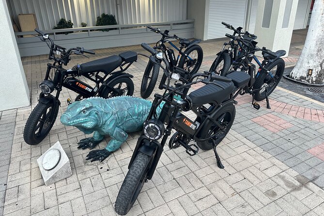 Coastal E-Bike Adventure: Full-Day Self-Guided Tour Grand Cayman - Tortuga Duty Free, Rum Cake Factory Finish With Easy Souvenirs