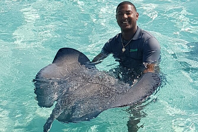 Full-Day Private Stingray City Snorkeling and Starfish Beach Tour - Meet at Cayman Islands Yacht Club, Then Get Briefed