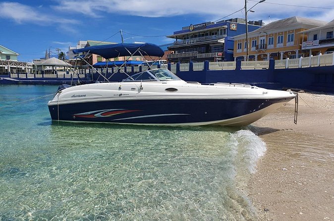 Full-Day Private Stingray City Snorkeling and Starfish Beach Tour - Coral Gardens or Barrier Reef Snorkeling: 45 Minutes That Should Count