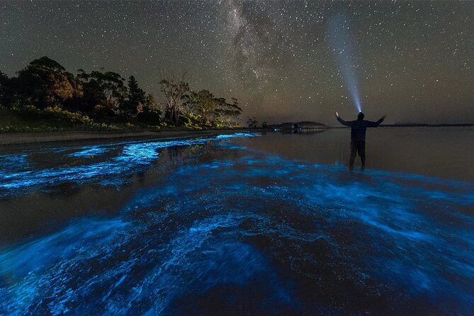 Grand Cayman Bioluminescence Adventure - Pickup and logistics: Seven Mile Beach is the key