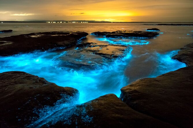 Grand Cayman Bioluminescence Adventure - Who should book this tour, and who should think twice