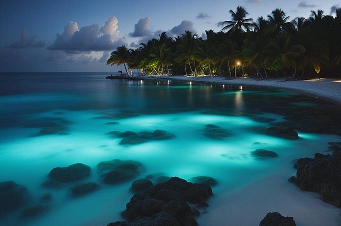 Grand Cayman Bioluminescence Experience - Photography and moon phases: how to get the best shots