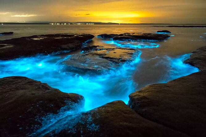 Grand Cayman Bioluminescent Bay Adventure - Key highlights to know before you go