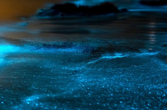 Grand Cayman Bioluminescent Bay Adventure - The guides and captains: why the crew matters here