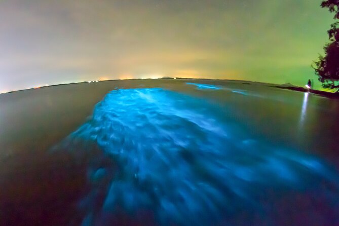 Grand Cayman Bioluminescent Bay Adventure - Gear and comfort: what to wear and what to skip