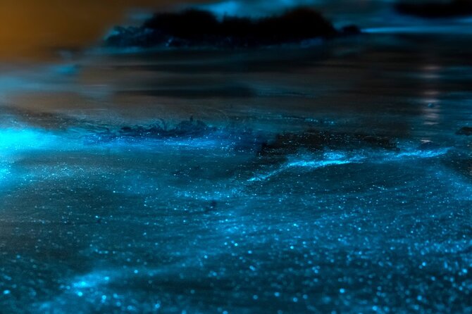 Grand Cayman Bioluminescent Bay Adventure - Bugs, rain, and timing: the real-world factors