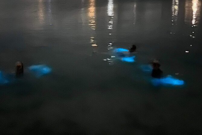 Grand Cayman - Bioluminescent Bay Tour - Bioluminescent Bay: how the glow actually works in the water