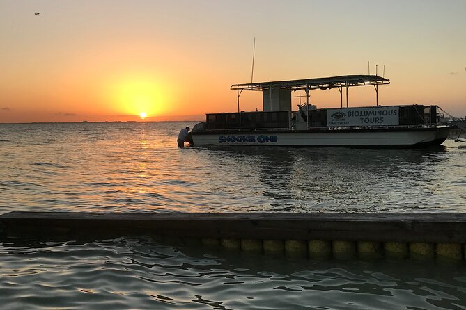 Grand Cayman - Bioluminescent Bay Tour - Guides make or break this kind of tour