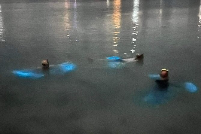 Grand Cayman - Bioluminescent Bay Tour - What is included, what is not, and the value of the $95 price