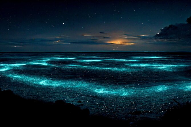 Grand Cayman Bioluminescent Bay Tour - What to bring so the night stays comfortable