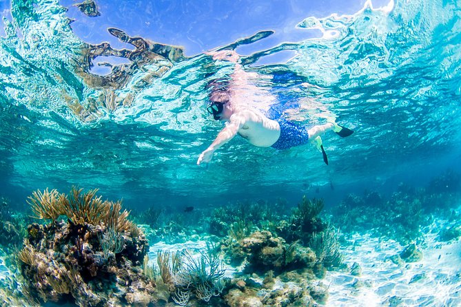 Grand Cayman Kittiwake and Reef Sail - Final Verdict: Should You Book the Grand Cayman Kittiwake and Reef Sail?